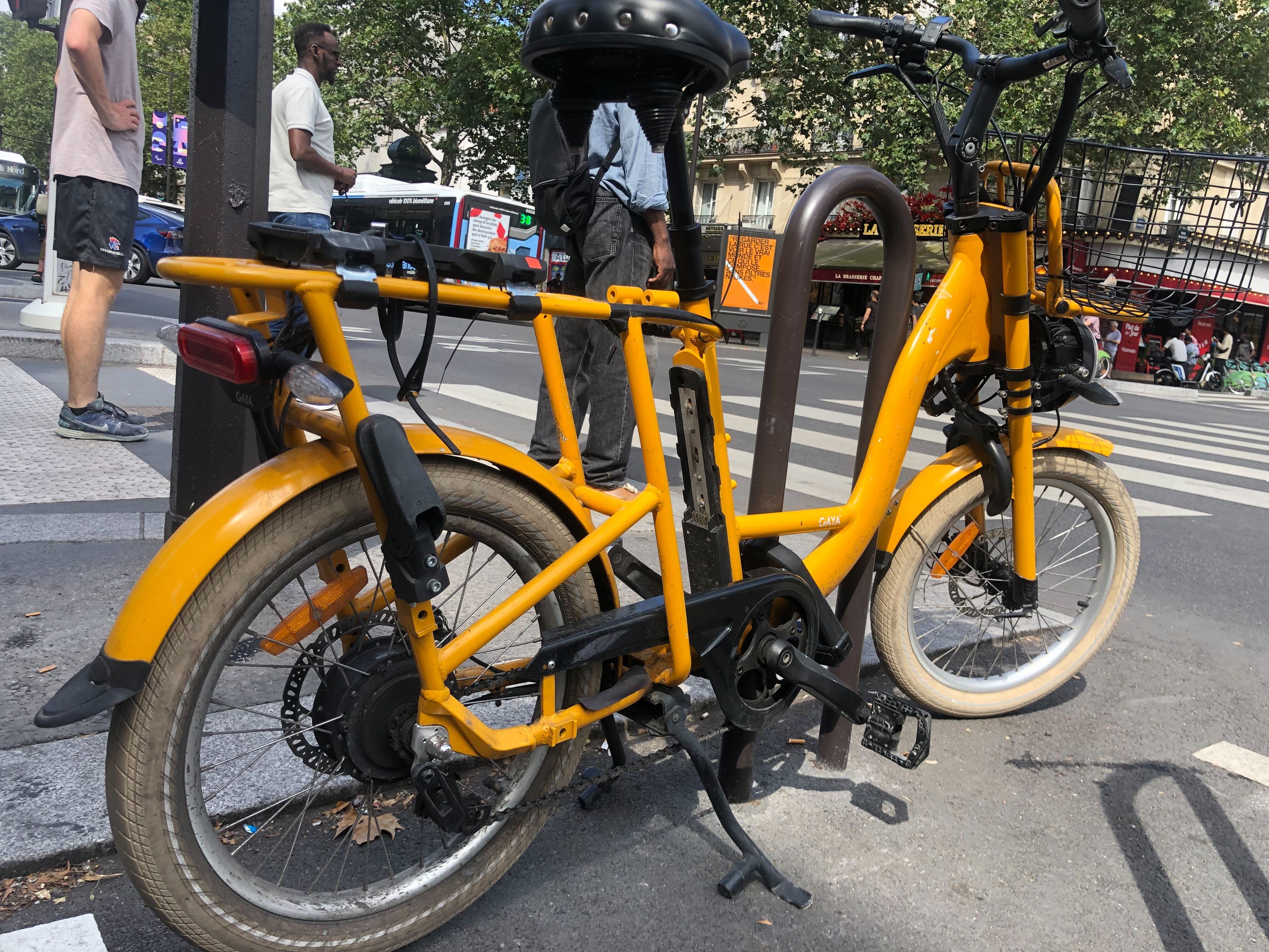 Gaya-jaune